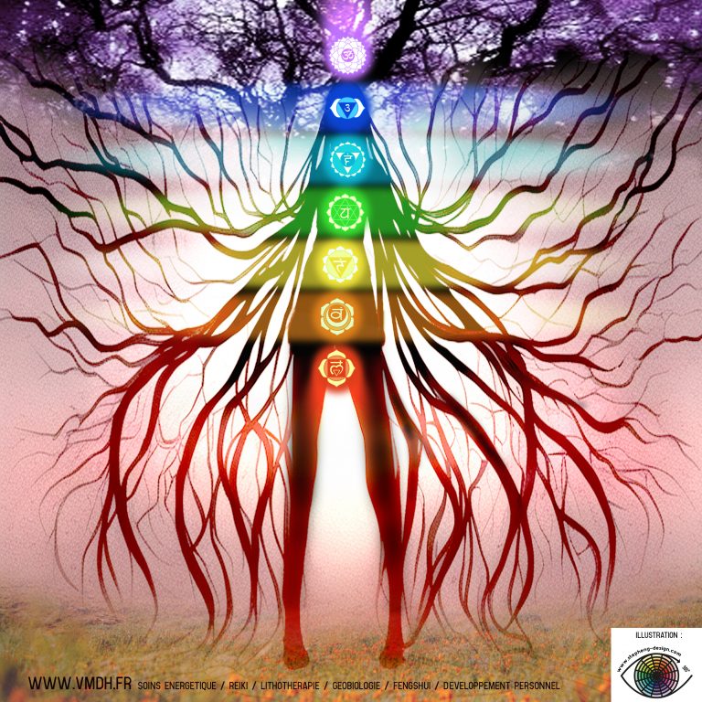 Illustration du positionnement des 7 chakras principaux du corps humain